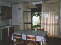living room and kitchen