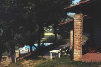 Barn and swimming pool view